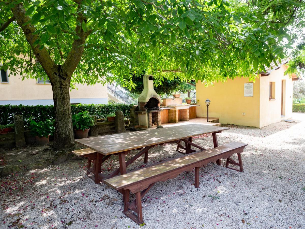 Agriturismo Casale Del Contadino Больсена Экстерьер фото